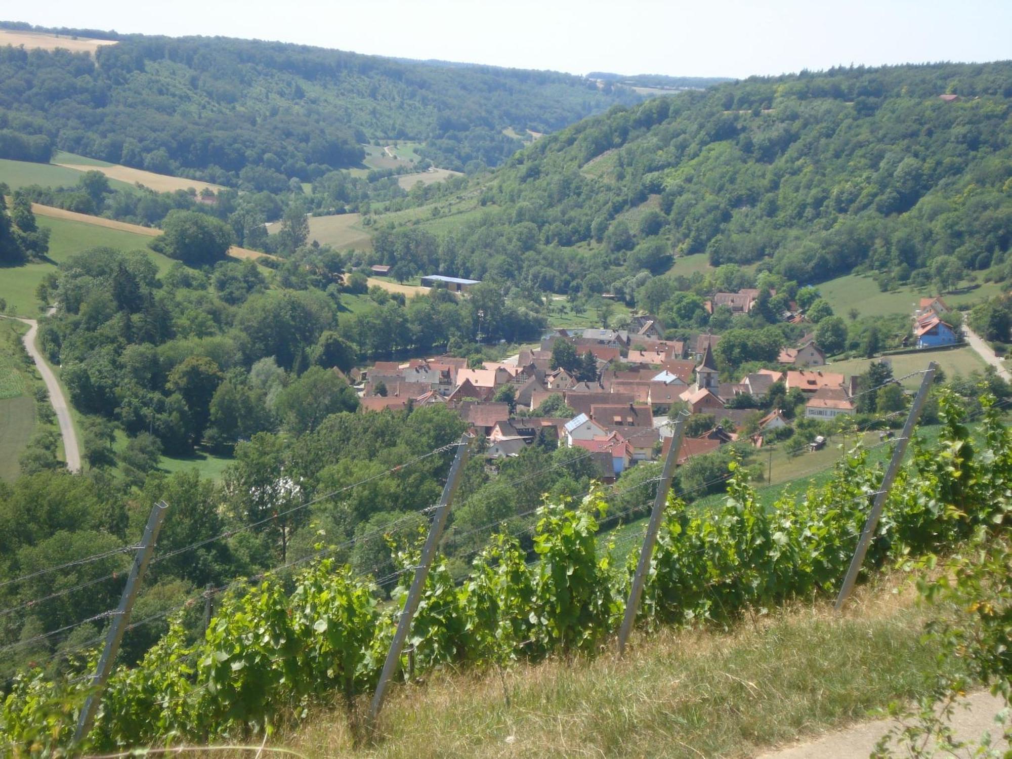 Landhaus Zum Falken Tauberzell Luaran gambar